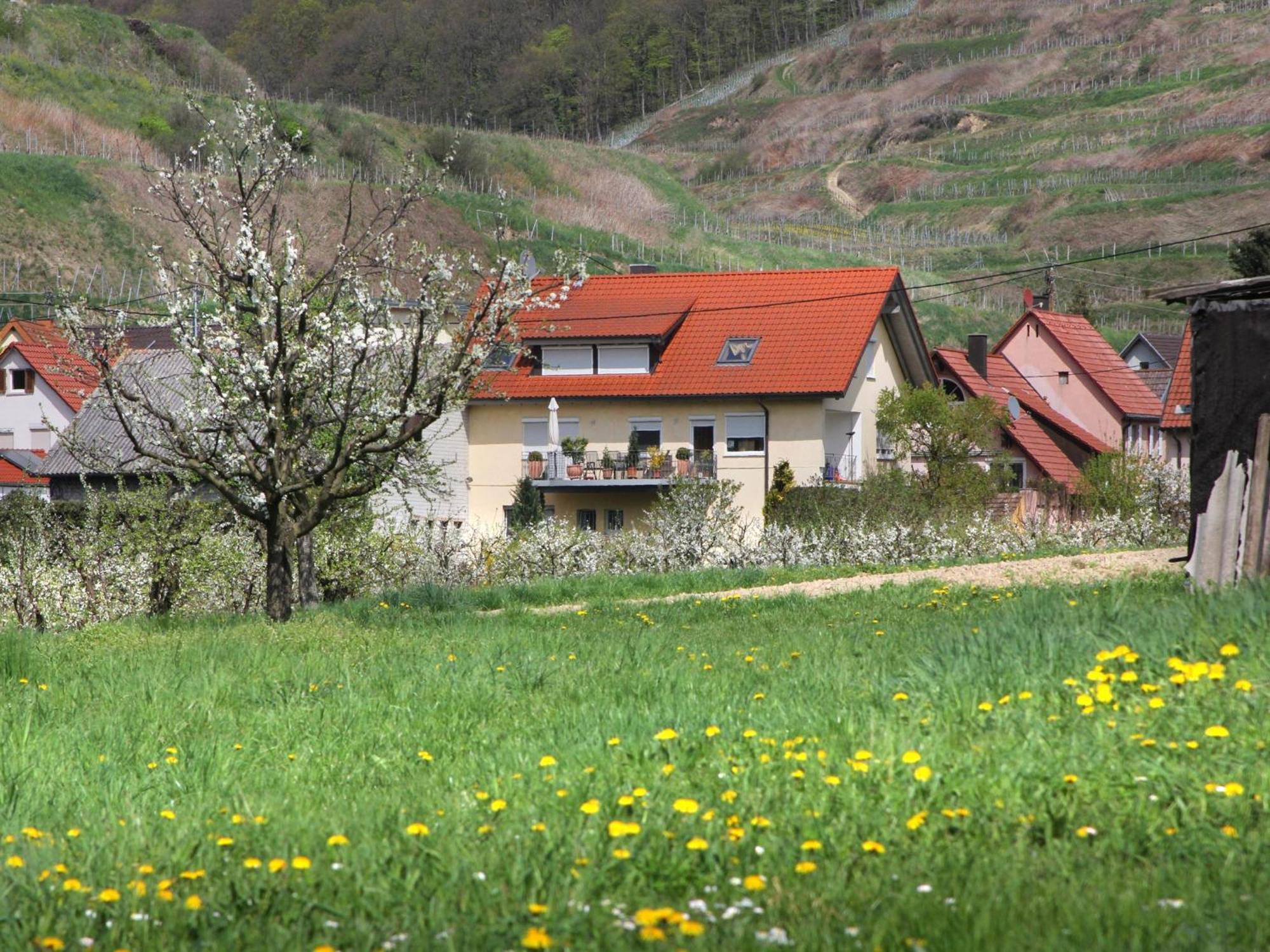 Ferienwohnung Graf Фогтсбург Екстериор снимка