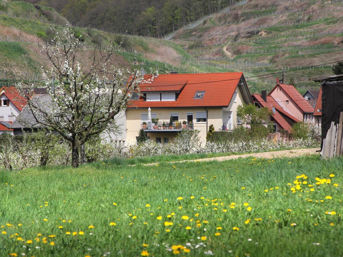 Ferienwohnung Graf Фогтсбург Екстериор снимка